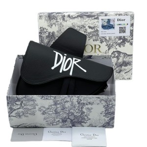 Сумка Christian Dior Saddle E1543